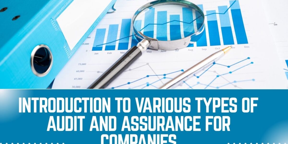 Introduction to Various Types of Audit and Assurance for Companies