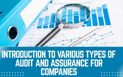 Introduction to Various Types of Audit and Assurance for Companies