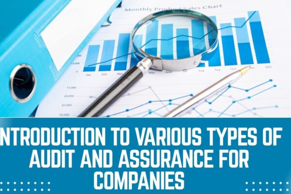 Introduction to Various Types of Audit and Assurance for Companies